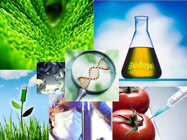 Bioquímica Vegetal y Biología Molecular