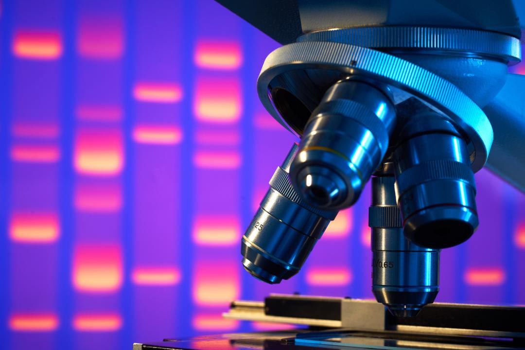 Foto: Microscope on the background of the medical laboratory. Laboratory equipment.