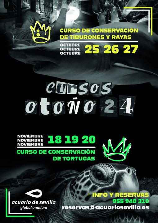 Cursos Otoño 2024