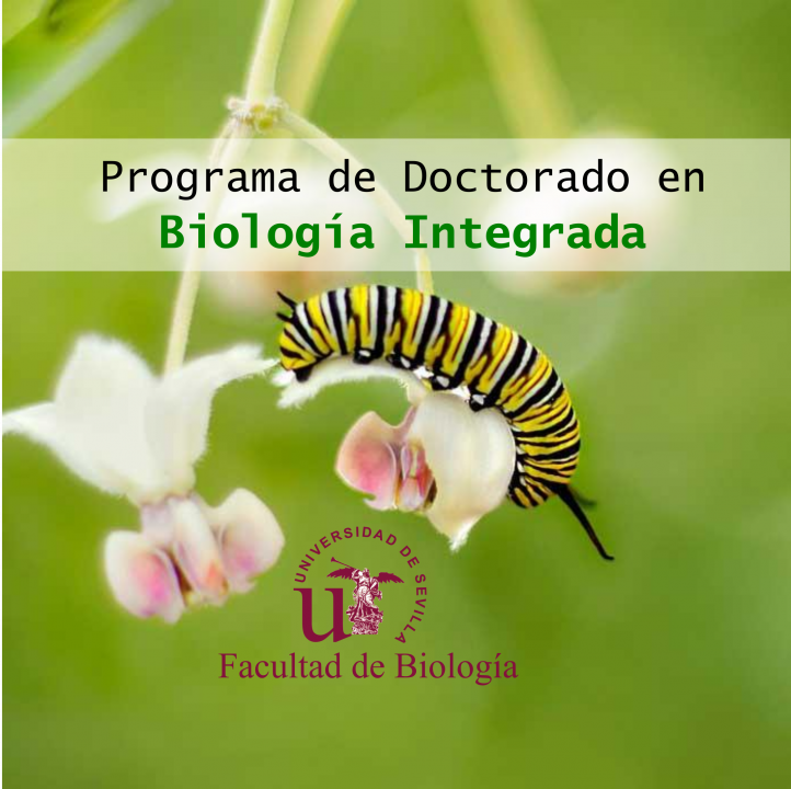 Programa de Seminarios de Postgrado