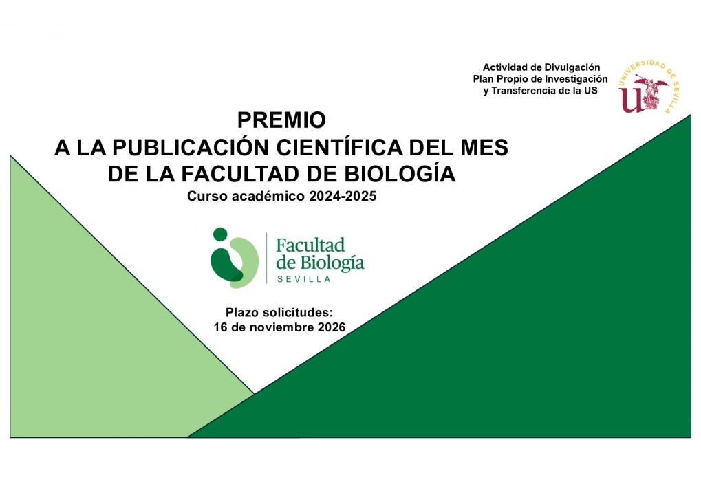 Foto Noticia