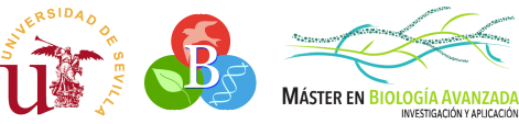 logos us