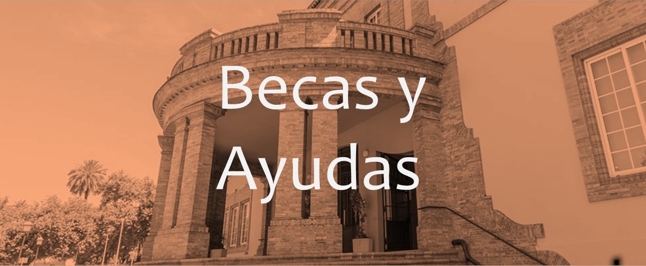 Cartel | Becas y Ayudas. Convocatoria de ayudas para movilidad internacional de personal (PDI y PTGAS) y estudiantes de doctorado-Programa KA171, curso 24-25