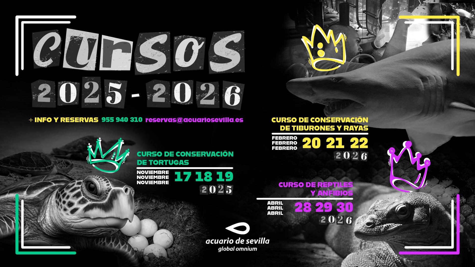 Cartel | Cursos de formación 2025-2026 de Acuario de Sevilla