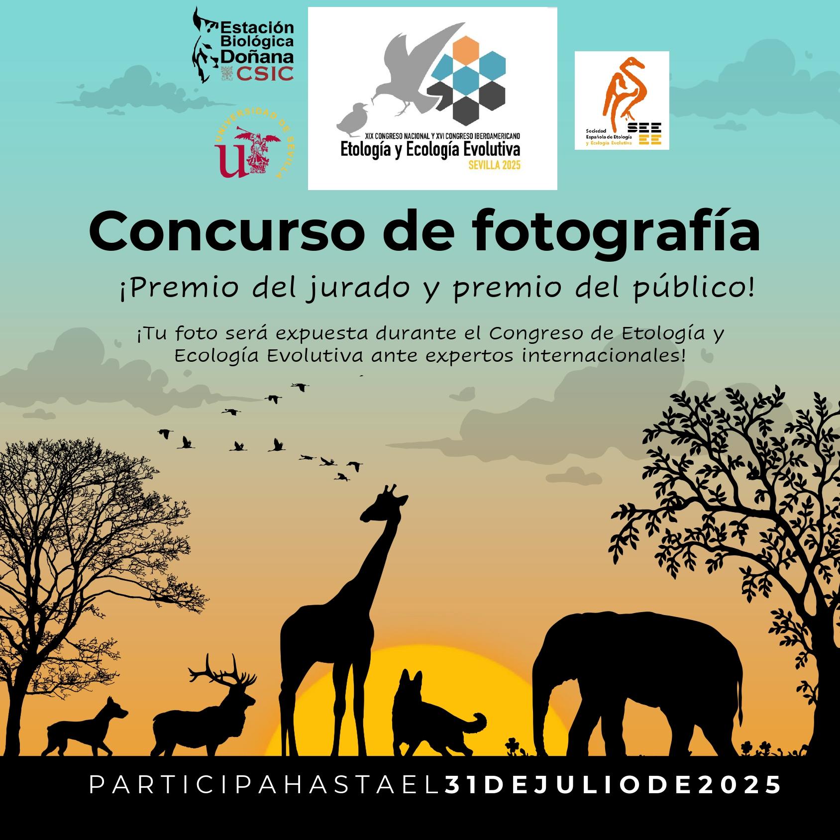 Cartel Anunciador | Concurso Fotografía, Congreso SEEE