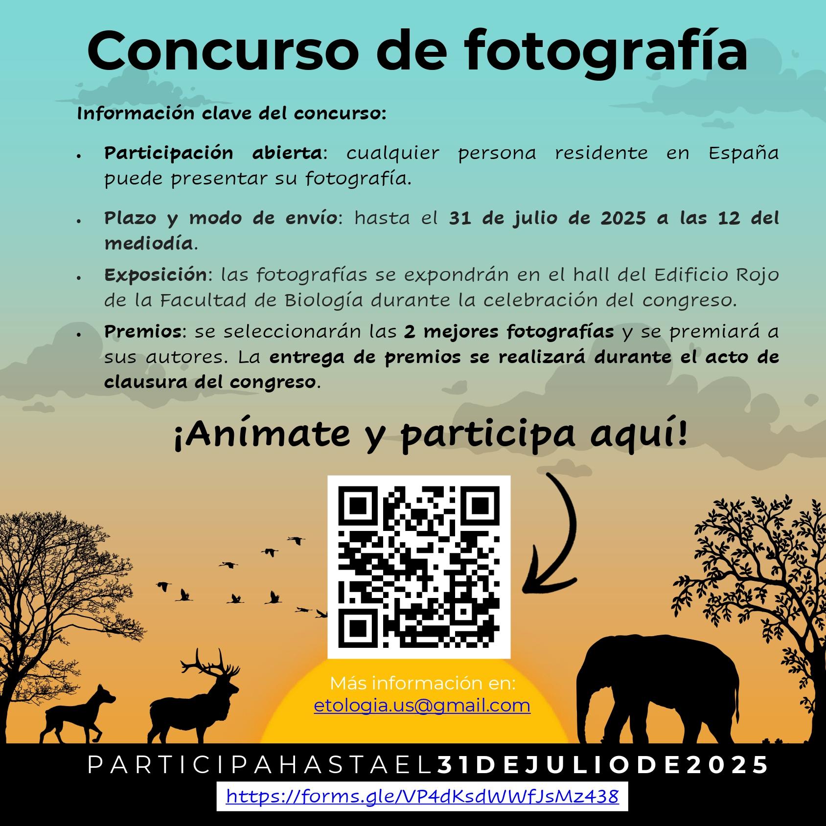 Cartel descriptor| Concurso Fotografía Congreso SEEE