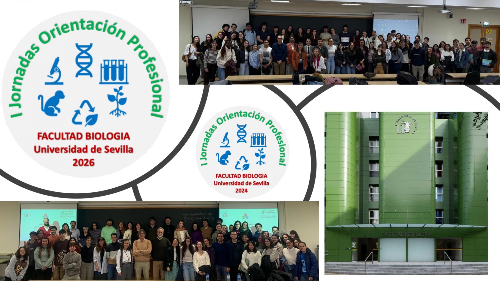Montaje Web | Orientación Profesional
