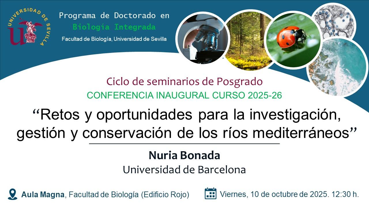 Seminarios