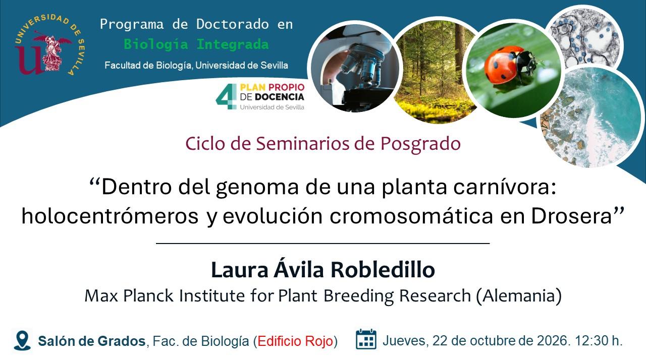 Seminarios